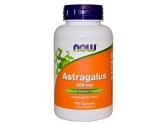 Now Foods Astragalus, 500 mg, 100 Capsule